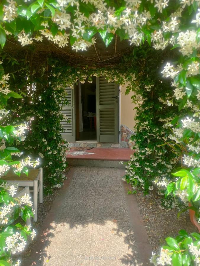 La Casa Di Fiorella Cerreto Guidi Dış mekan fotoğraf