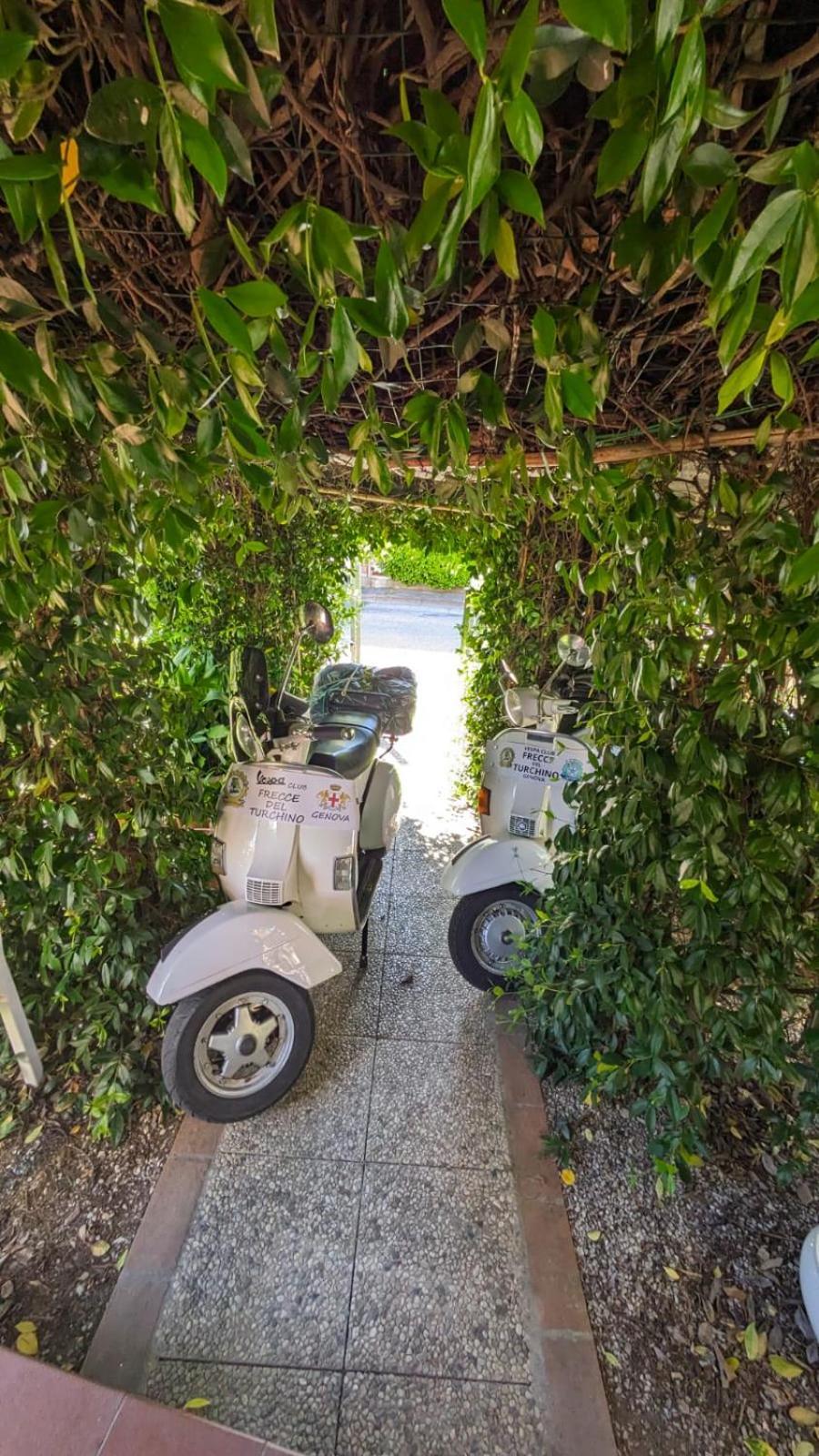 La Casa Di Fiorella Cerreto Guidi Dış mekan fotoğraf